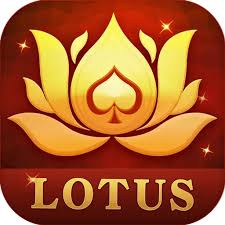 download rummy gold download